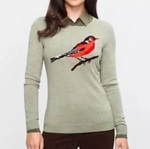 NWT Talbost crew neck sweater